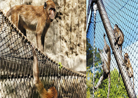 Twill πουλιών ανοξείδωτου διαμέτρων καλωδίων 1.5mm πιάνοντας συσκευασία κιβωτίων χαρτοκιβωτίων ύφανσης