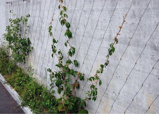 Eco - φιλικό Trellis τοίχων καλωδίων κήπων Ferruled/δεμένος αντι - διαβρωτικό πλέγμα
