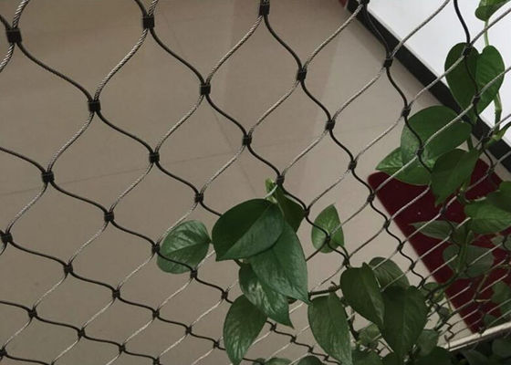 Ατσάλινη σχοινιά σχοινί δίχτυ για πράσινα τοίχοι Custom μεγέθη