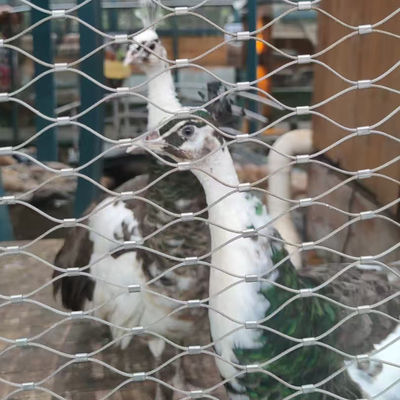 Δίκτυο σύρματος για πτηνοτροφείο Ευέλικτο σύρμα σχοινί καλωδίου Δίκτυο για κήπο ζωολογικού κήπου