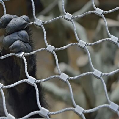 Ακατάπαυστα δίκτυα καλωδίων από ανοξείδωτο χάλυβα σχεδιασμένα για φραγμούς ασφαλείας