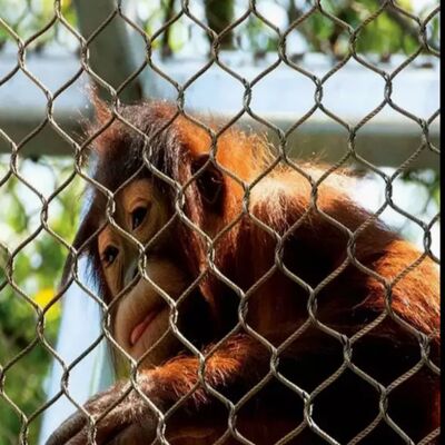Προστατευτικό δίχτυ αλεξίπτωτου σχοινίτος αλεξίπτωτου κατάλληλο για έργα ασφάλειας
