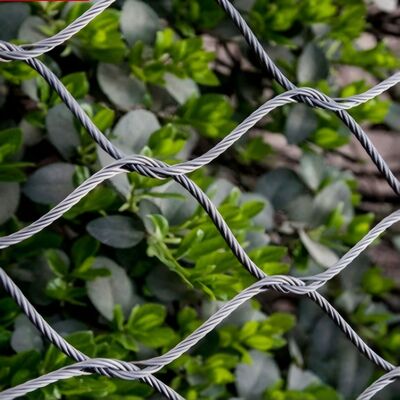 Ελαστικό δίκτυο καλωδίων από ανοξείδωτο χάλυβα σχεδιασμένο για την ασφάλεια σε αρχιτεκτονικά έργα