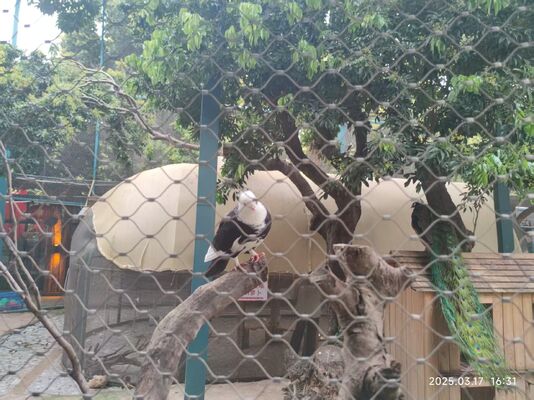 316 Δίκτυο ασφαλείας καλωδίων από ανοξείδωτο χάλυβα Φώτα κατακλυσμού