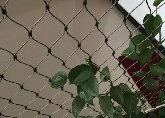 Πράσινος τοίχος 100x100mm διακοσμήσεων εύκαμπτο πλέγμα καλωδίων ανοξείδωτου