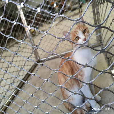 Το μέταλλο Χ τείνει το κλουβί ζωολογικών κήπων κλουβιών πουλιών πιάνοντας 1 X 19
