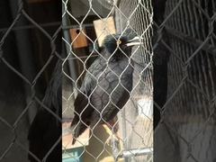 Ανθεκτικό Μαλακό Τύπου Ferrule Εύκαμπτο Μεταλλικό Ισχυρό Ανοξείδωτο Ατσάλι Κόμπου Σχοινιού Δίχτυ