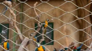 Πώς μοιάζει ένα υφαντό συρμάτινο πλέγμα από ανοξείδωτο χάλυβα